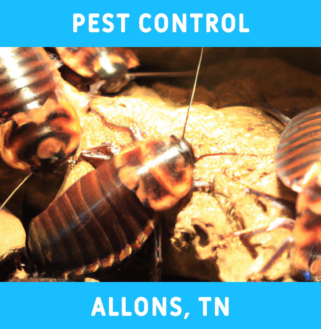 pest control in Allons Tennessee