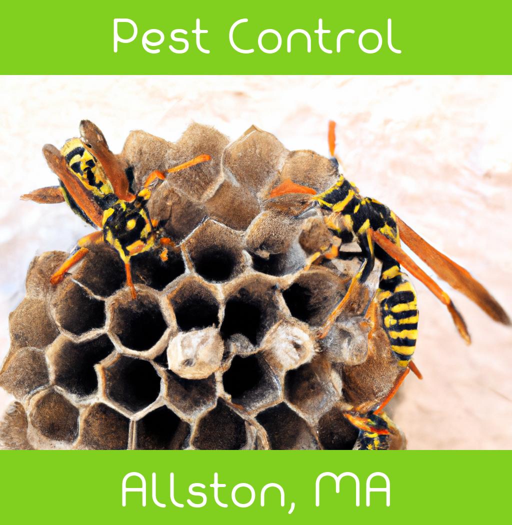 pest control in Allston Massachusetts