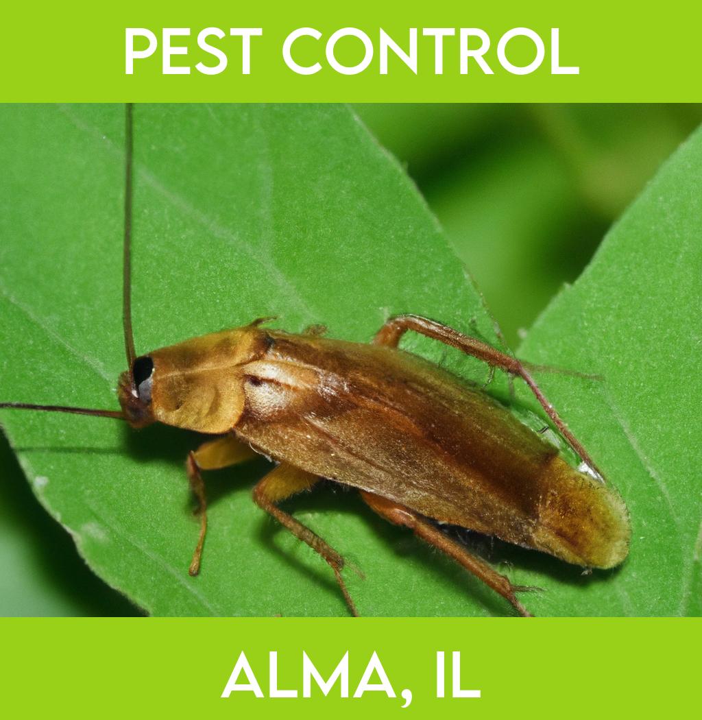 pest control in Alma Illinois