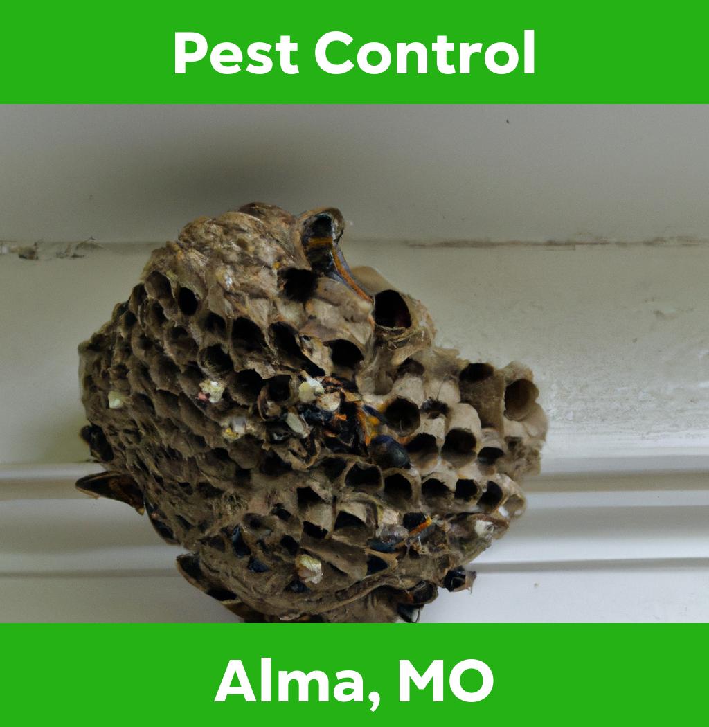 pest control in Alma Missouri