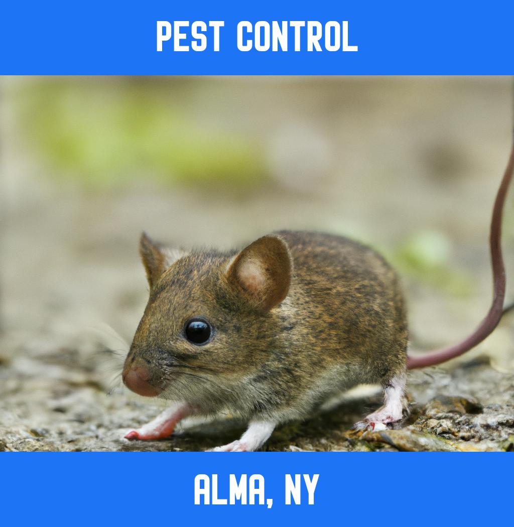 pest control in Alma New York