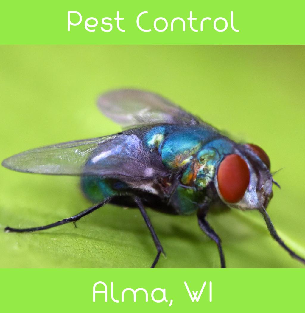 pest control in Alma Wisconsin