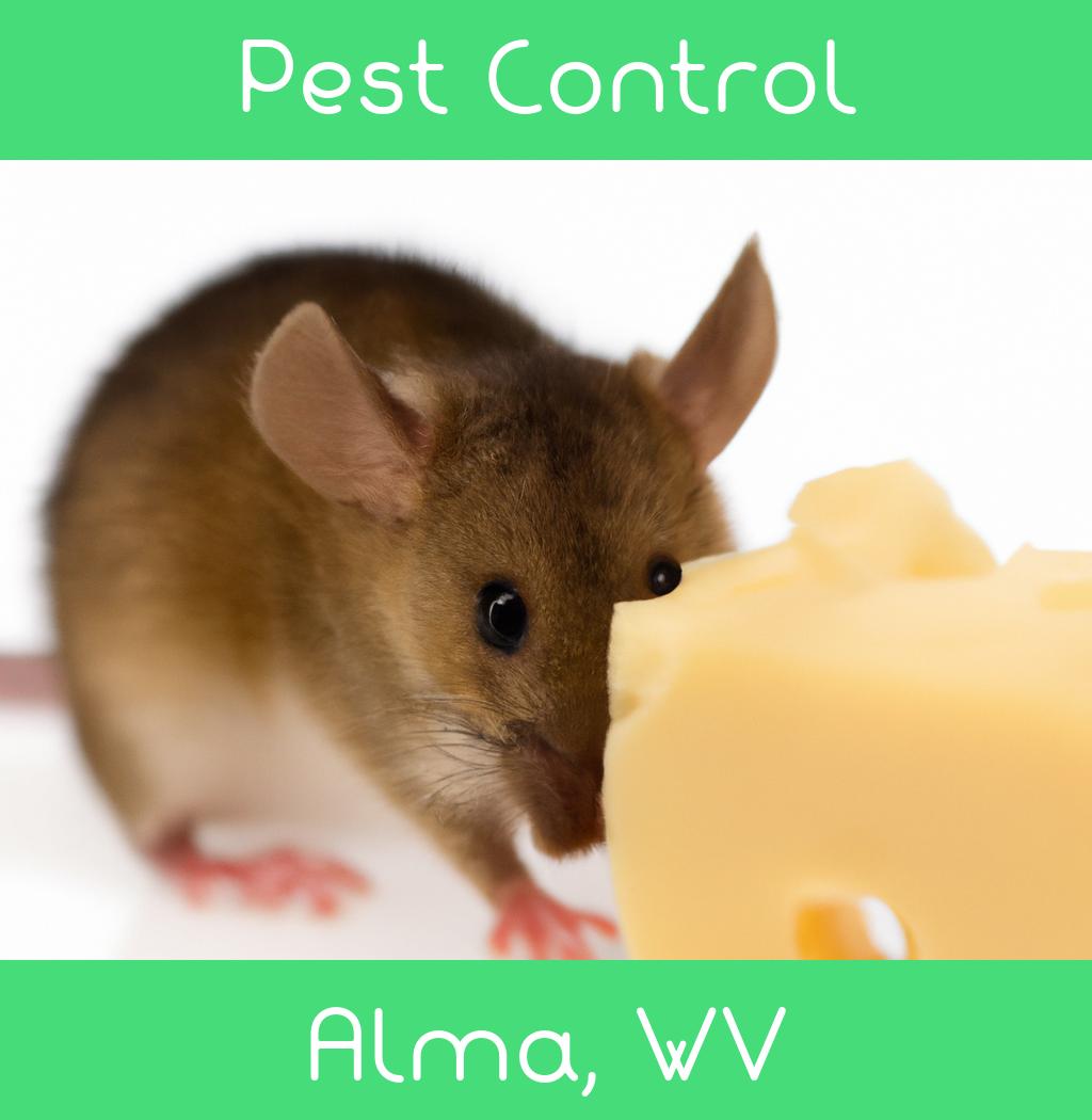 pest control in Alma West Virginia