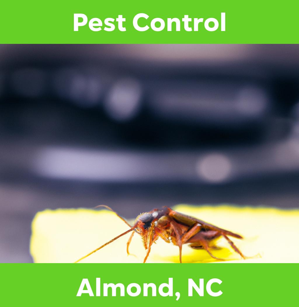 pest control in Almond North Carolina