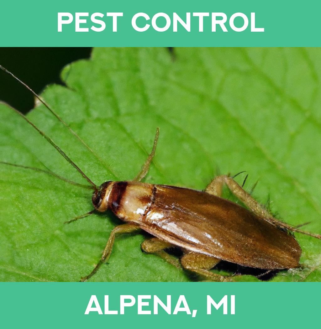 pest control in Alpena Michigan
