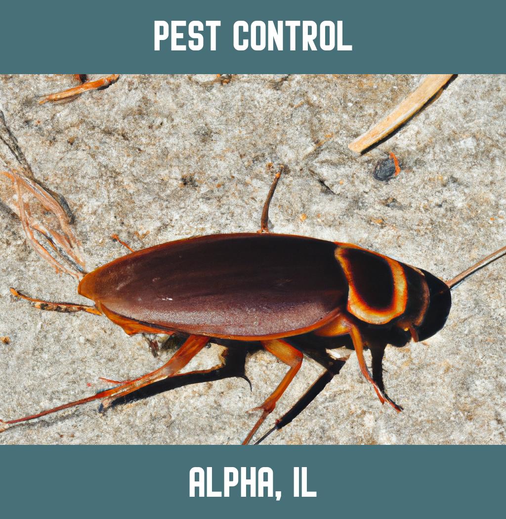 pest control in Alpha Illinois