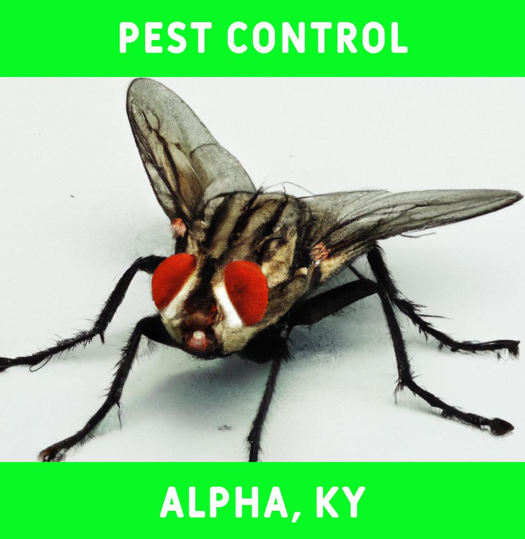pest control in Alpha Kentucky