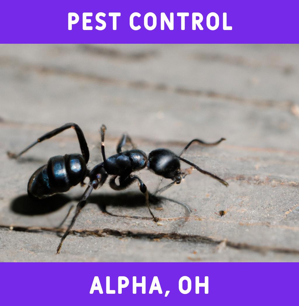 pest control in Alpha Ohio