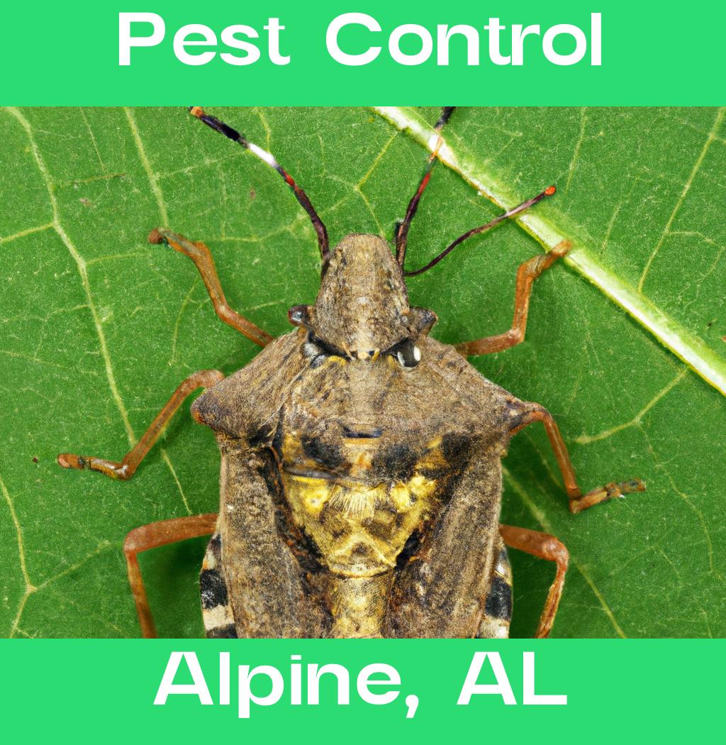 pest control in Alpine Alabama