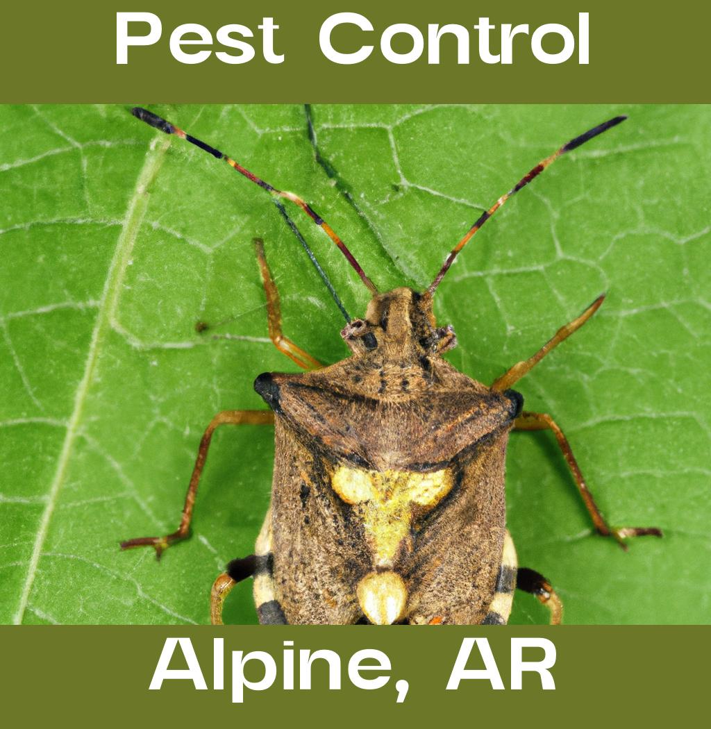 pest control in Alpine Arkansas