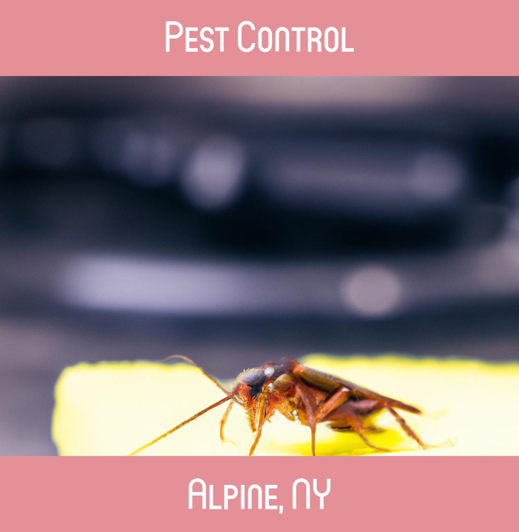 pest control in Alpine New York