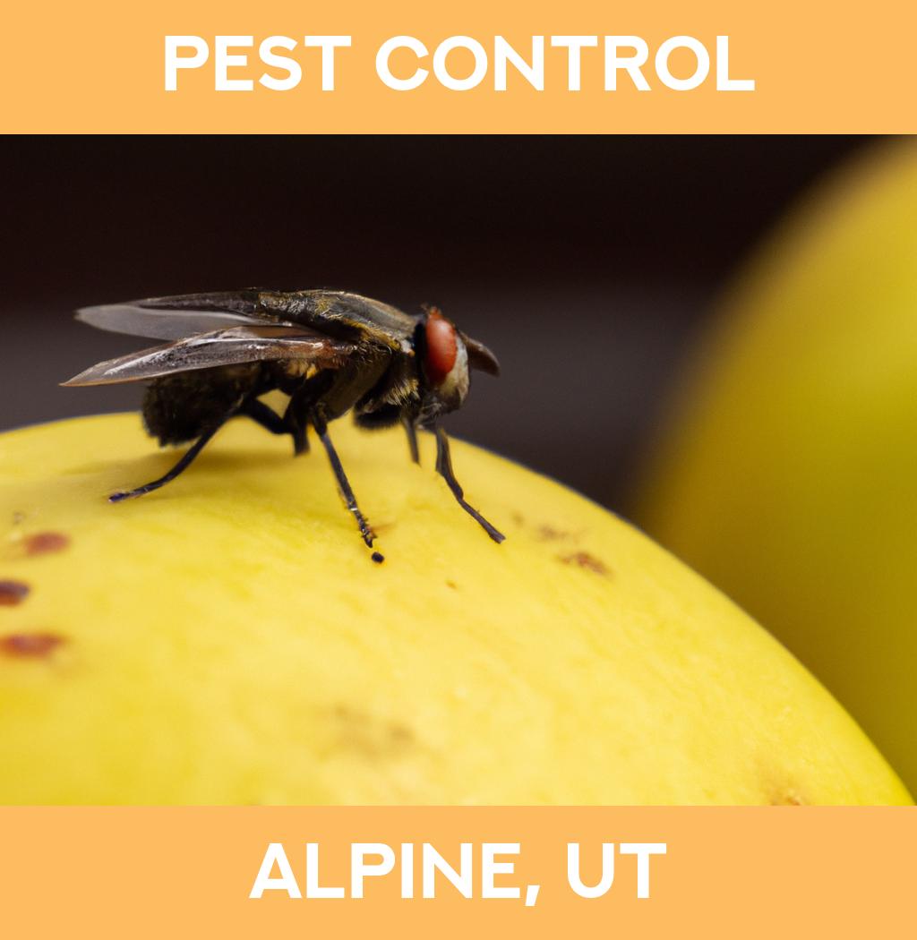 pest control in Alpine Utah
