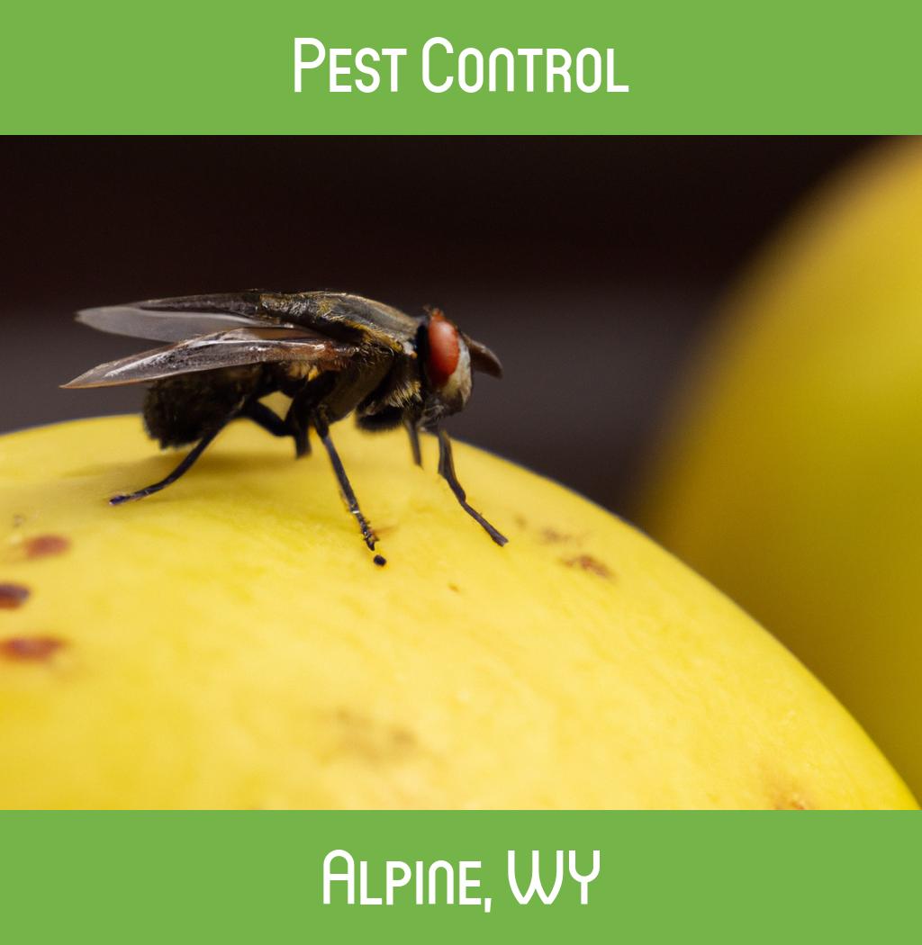 pest control in Alpine Wyoming
