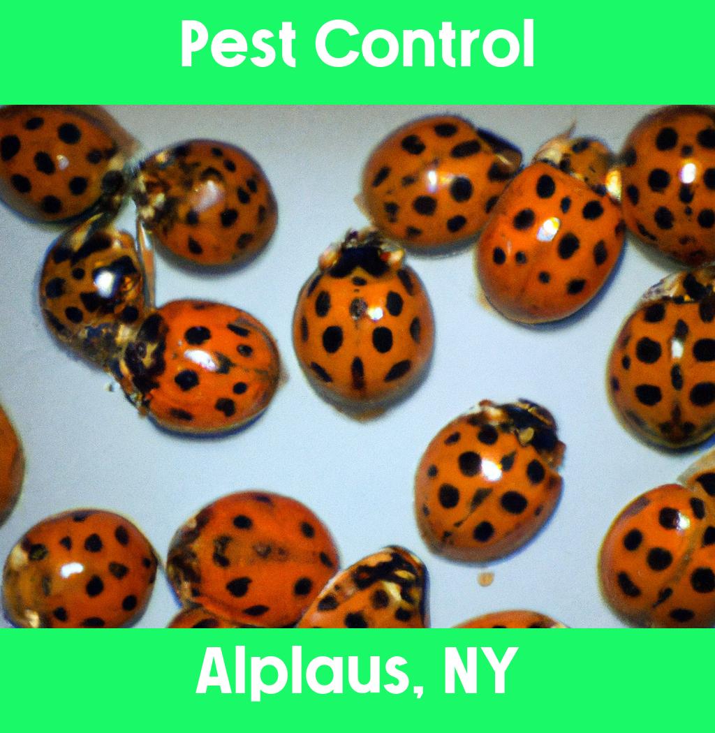 pest control in Alplaus New York