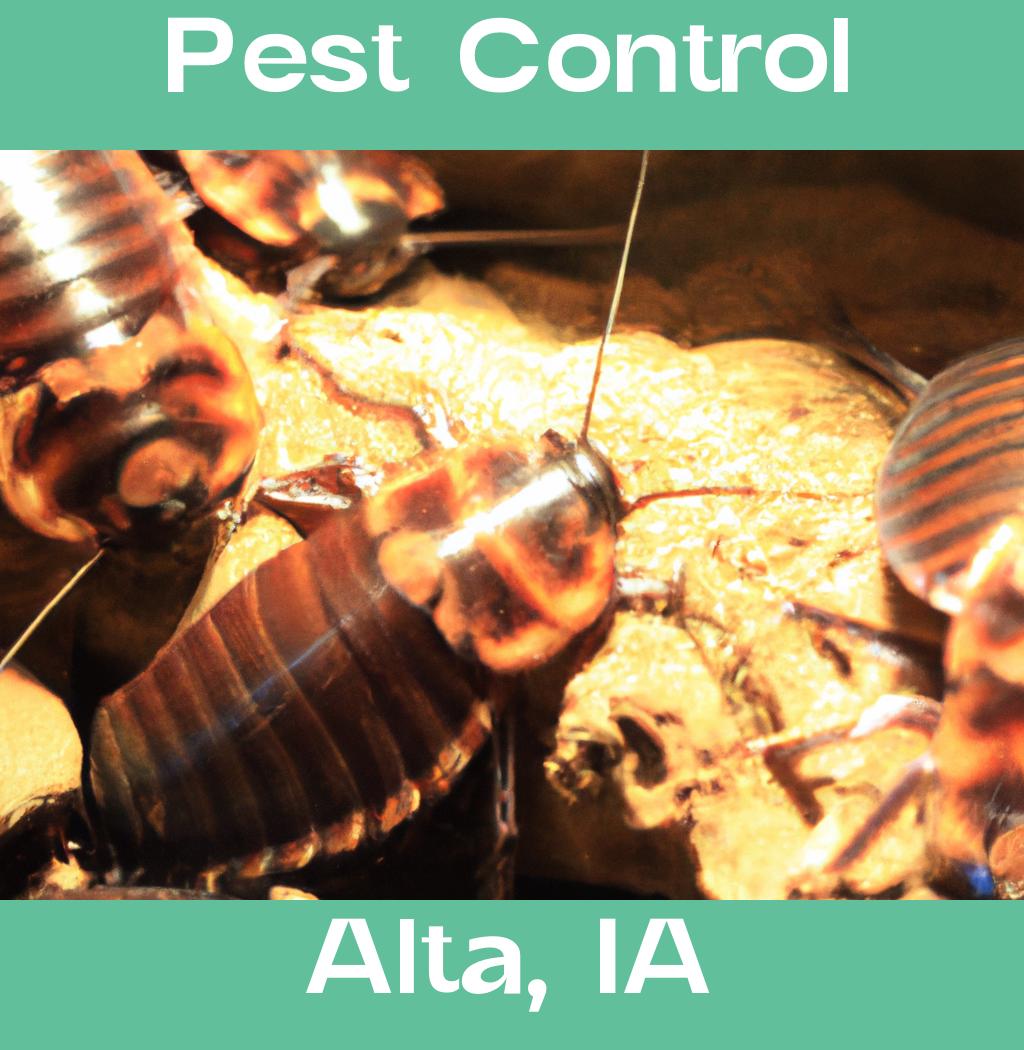 pest control in Alta Iowa