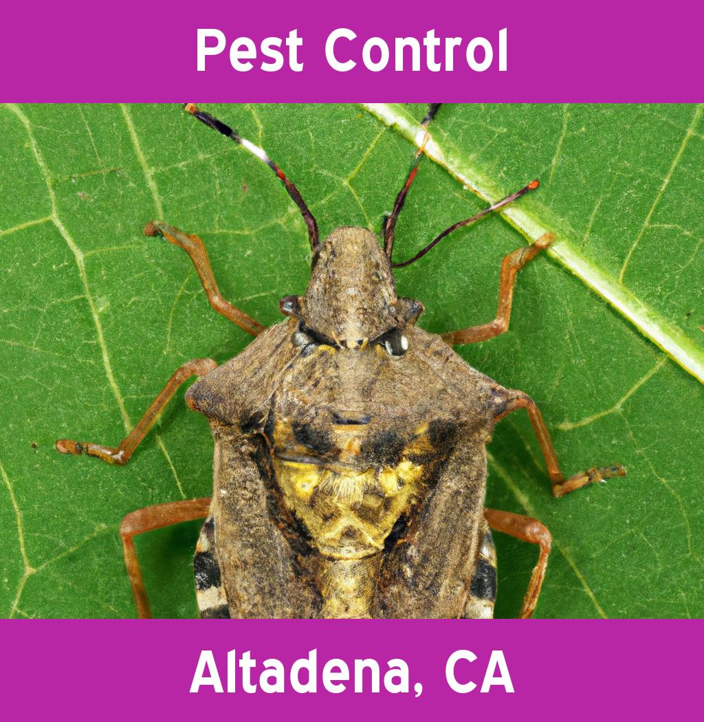 pest control in Altadena California