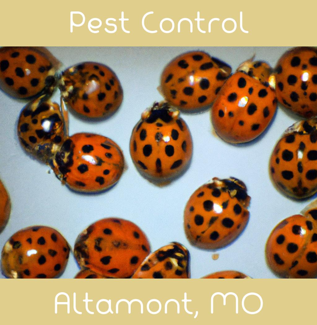 pest control in Altamont Missouri