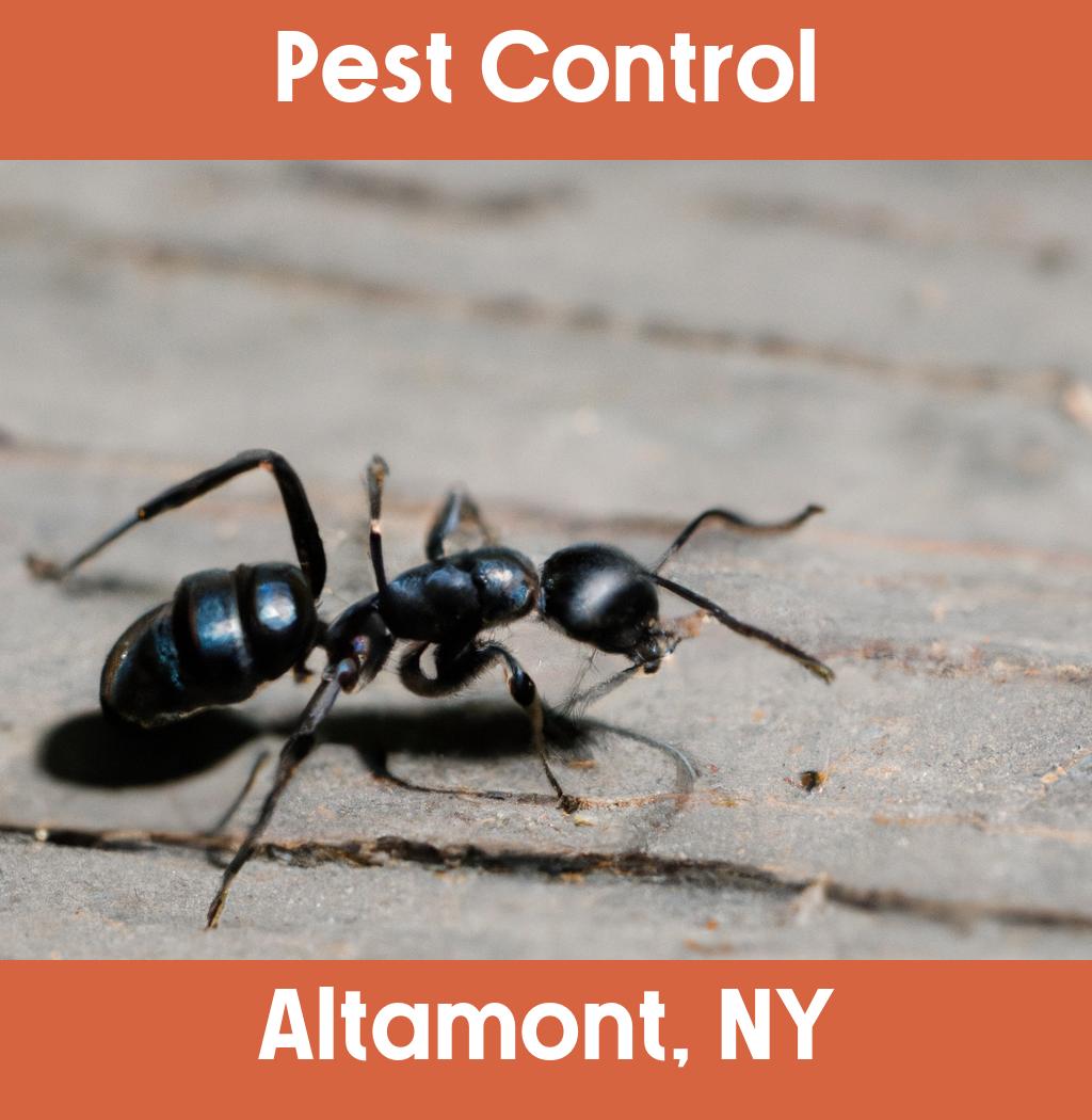 pest control in Altamont New York