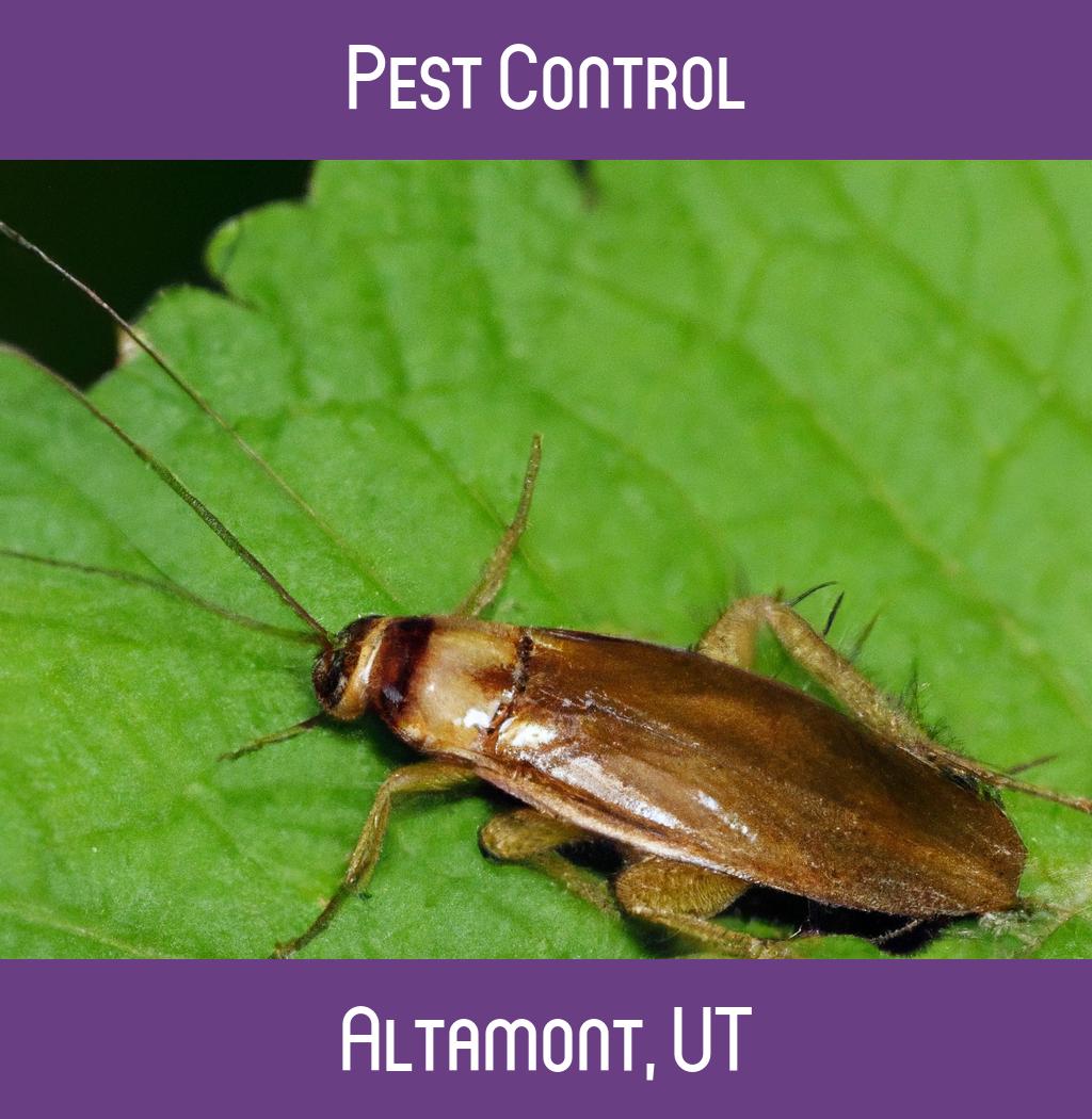 pest control in Altamont Utah