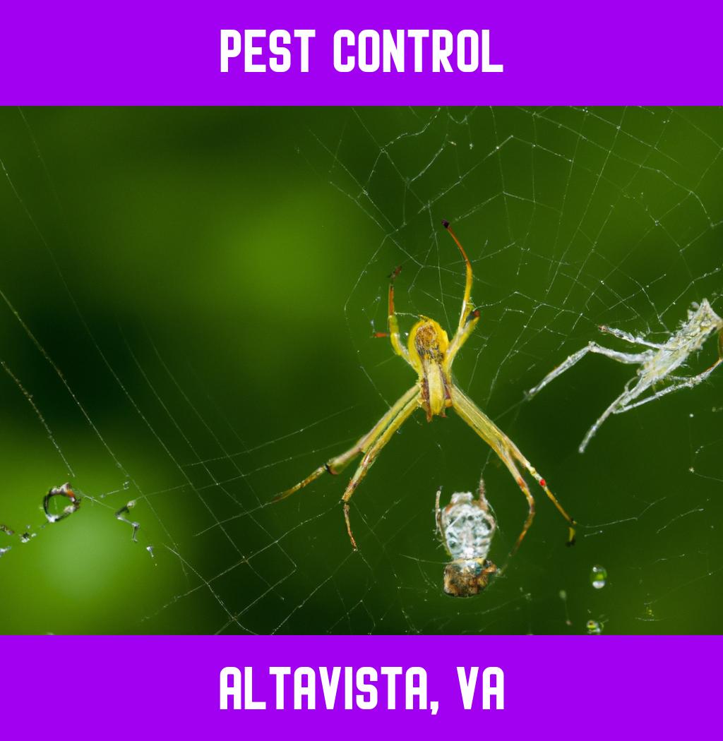 pest control in Altavista Virginia