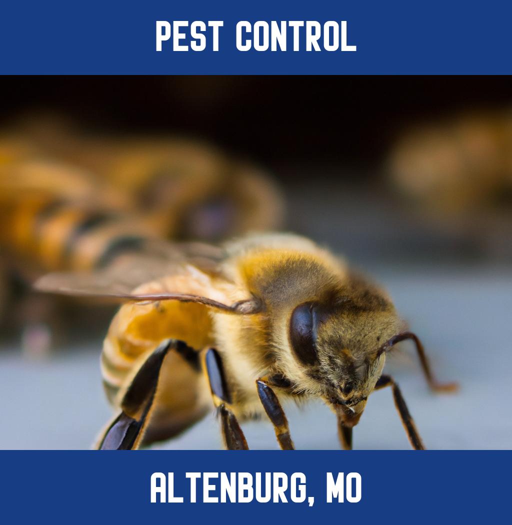 pest control in Altenburg Missouri