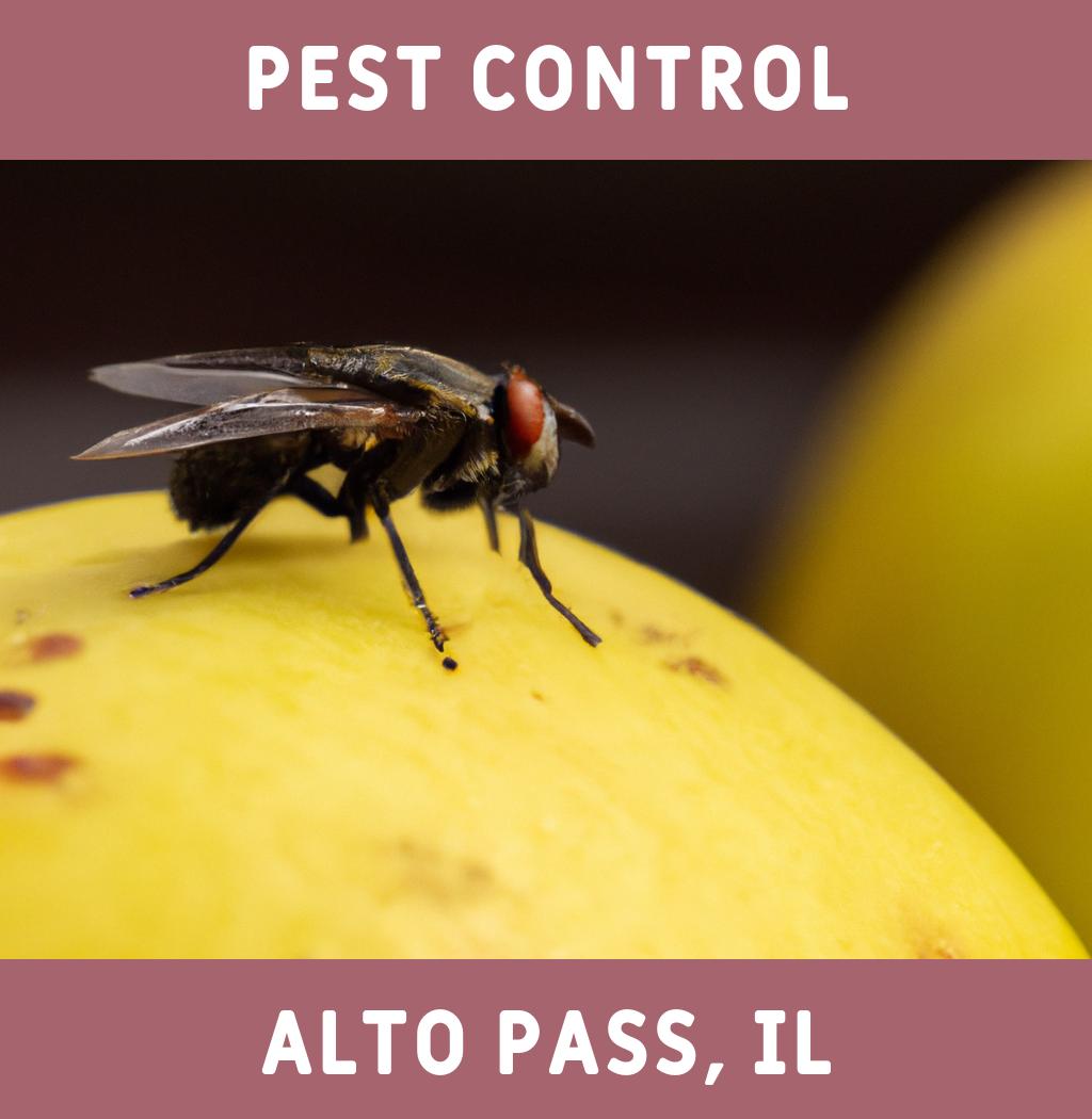 pest control in Alto Pass Illinois