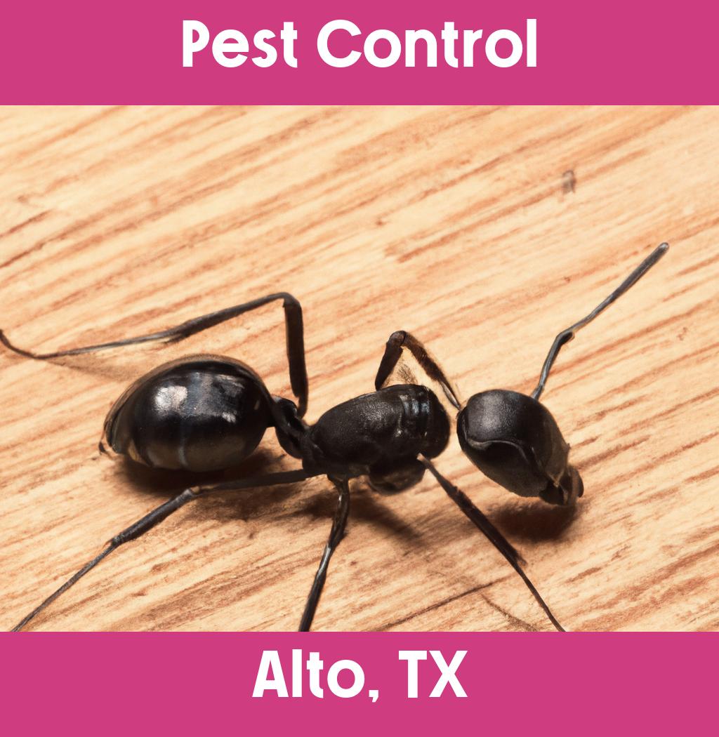 pest control in Alto Texas
