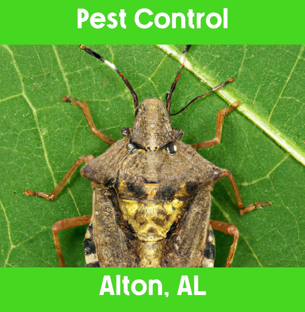 pest control in Alton Alabama