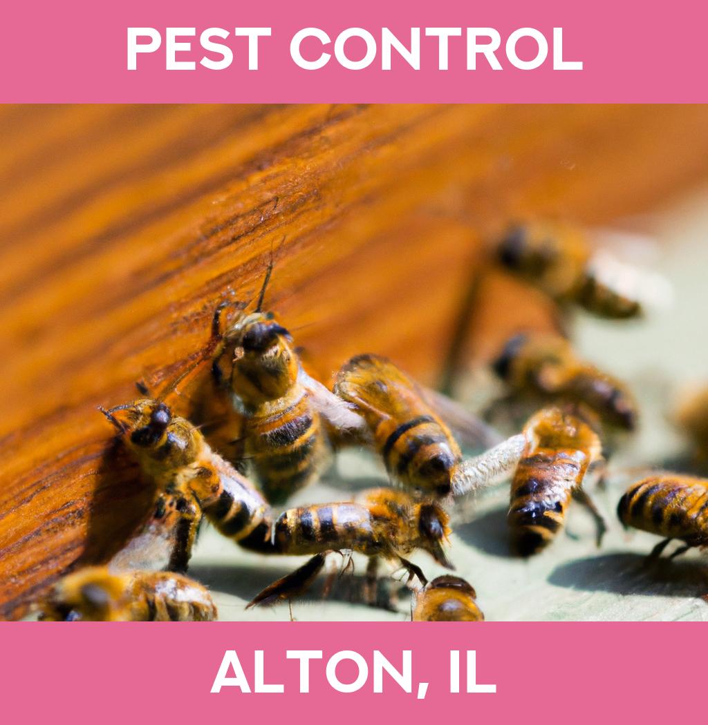 pest control in Alton Illinois