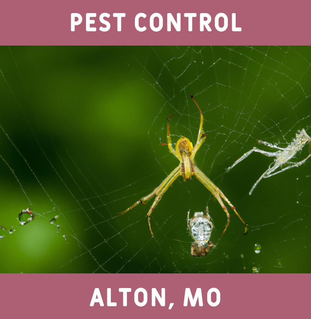 pest control in Alton Missouri
