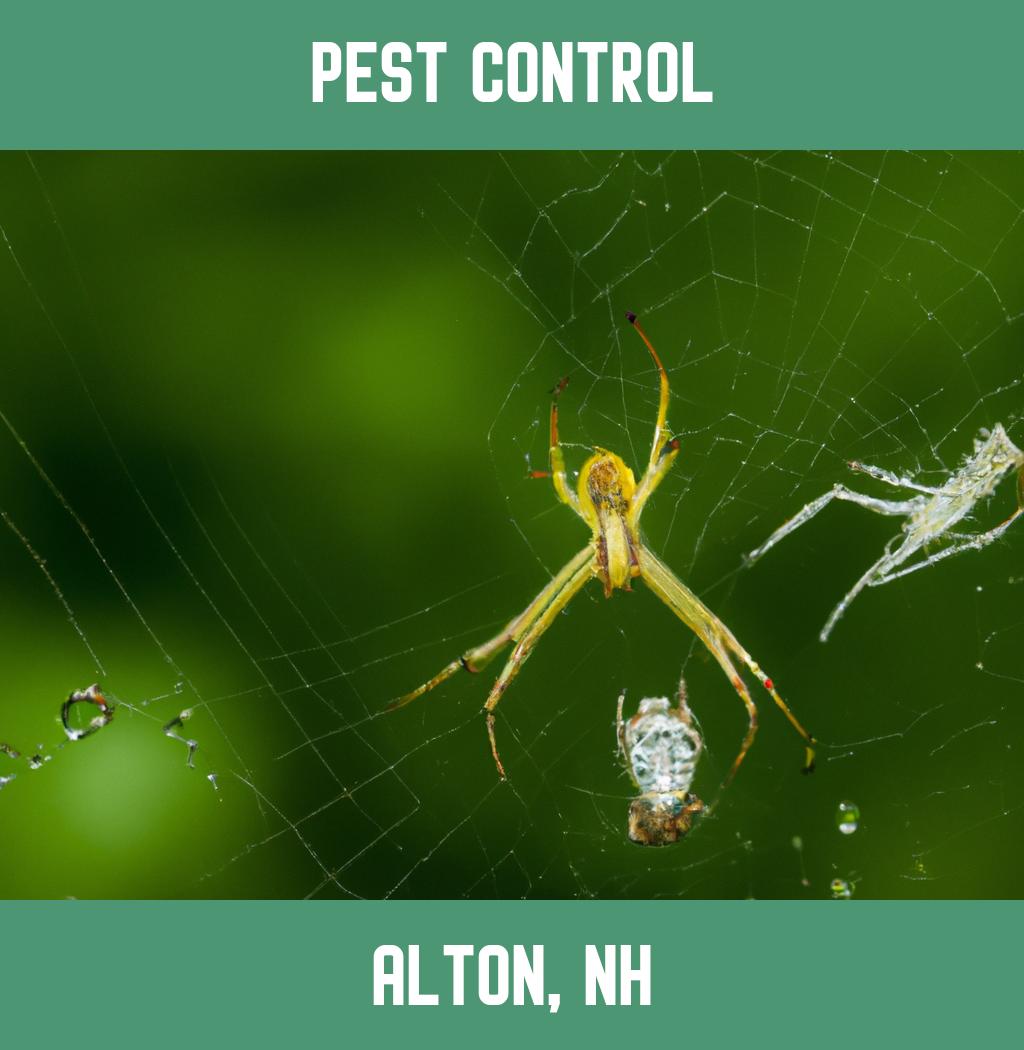 pest control in Alton New Hampshire