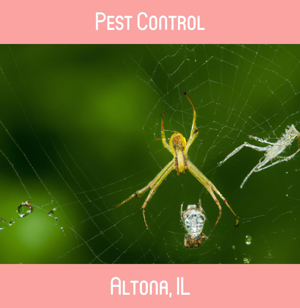 pest control in Altona Illinois