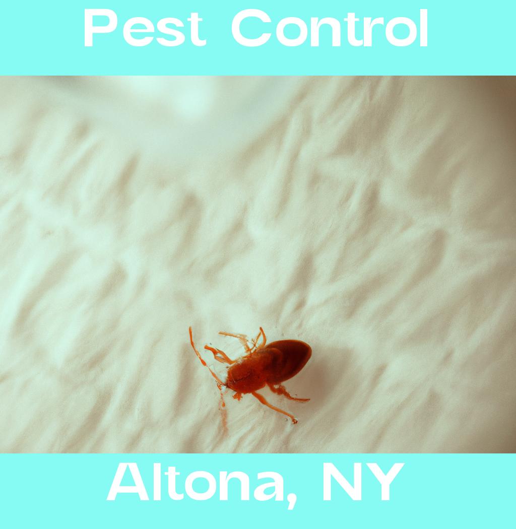 pest control in Altona New York