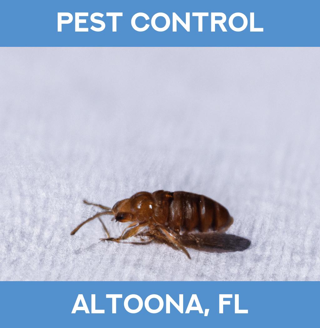 pest control in Altoona Florida