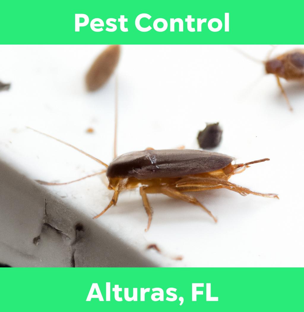 pest control in Alturas Florida