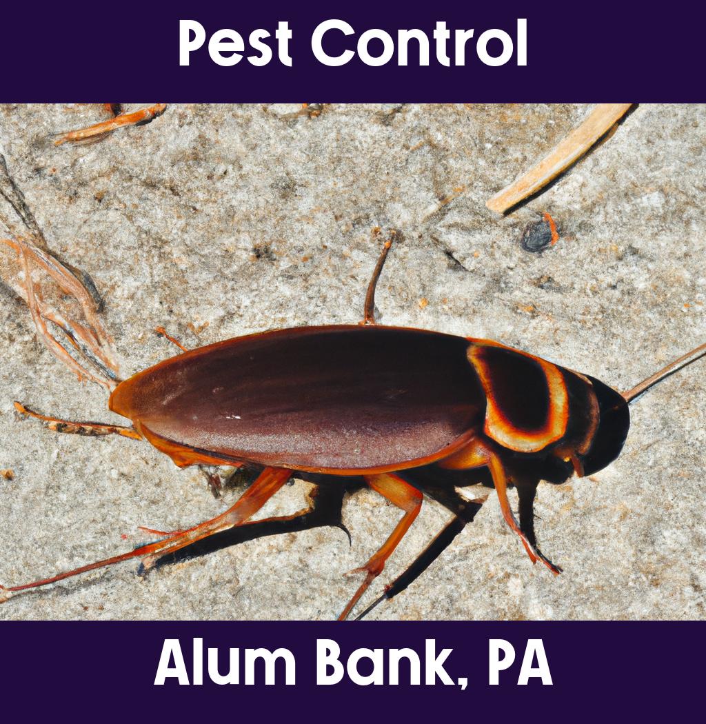 pest control in Alum Bank Pennsylvania