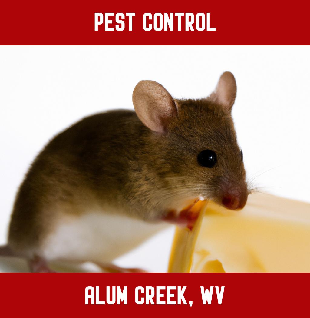 pest control in Alum Creek West Virginia