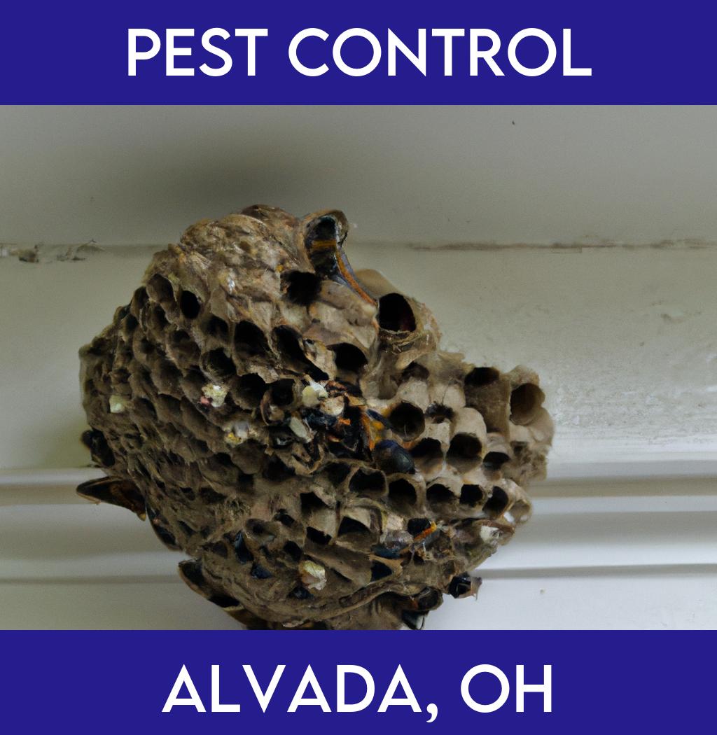 pest control in Alvada Ohio