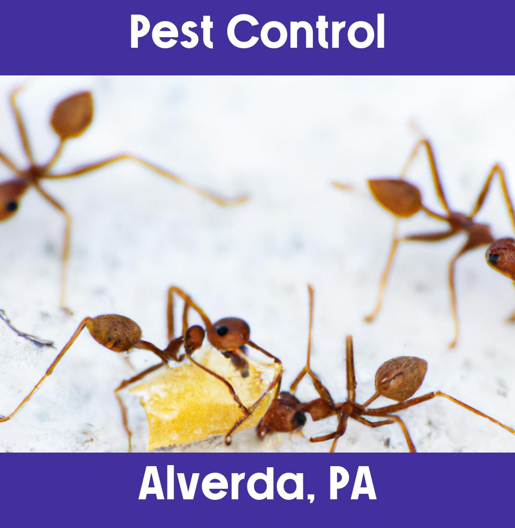 pest control in Alverda Pennsylvania
