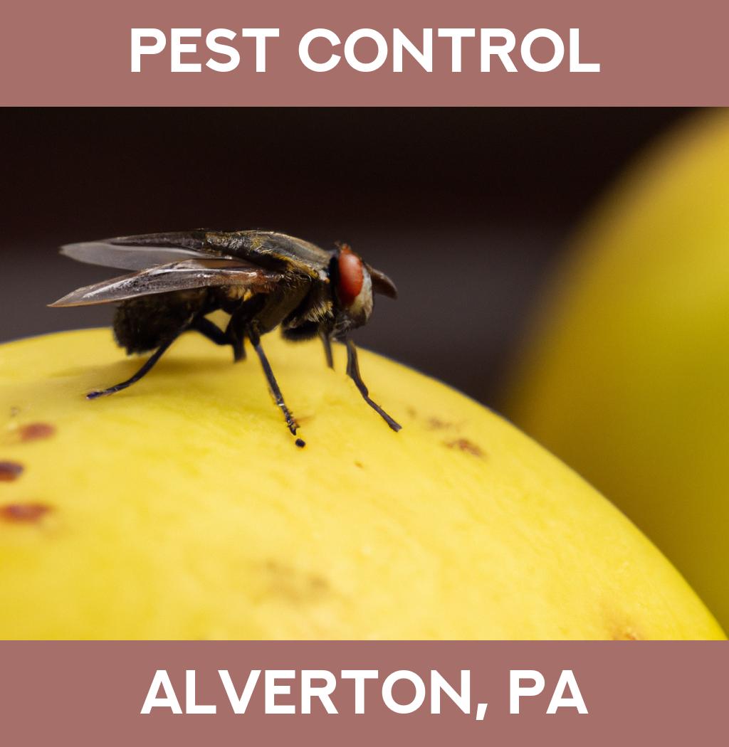 pest control in Alverton Pennsylvania