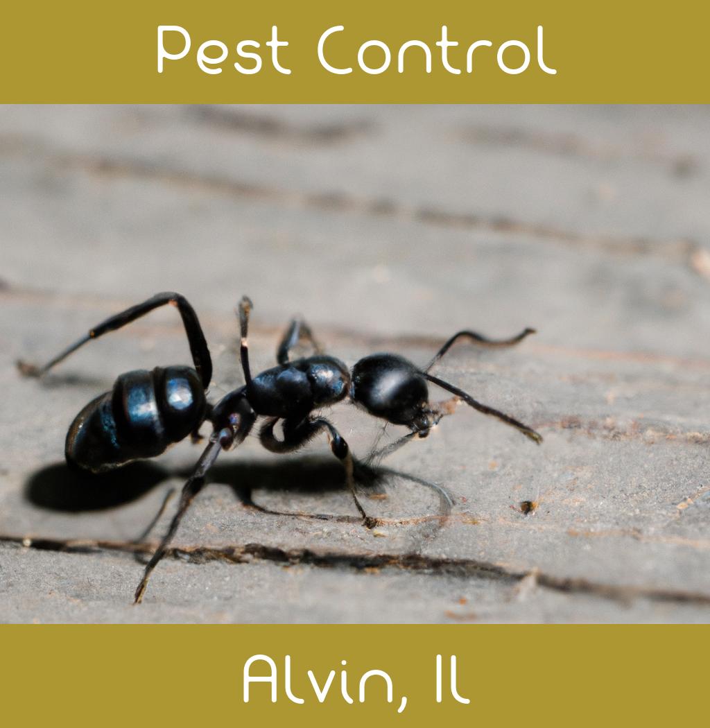 pest control in Alvin Illinois