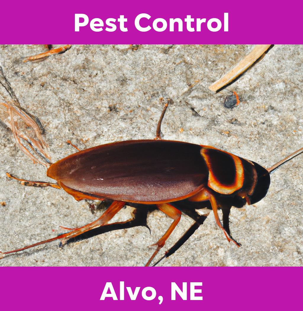 pest control in Alvo Nebraska
