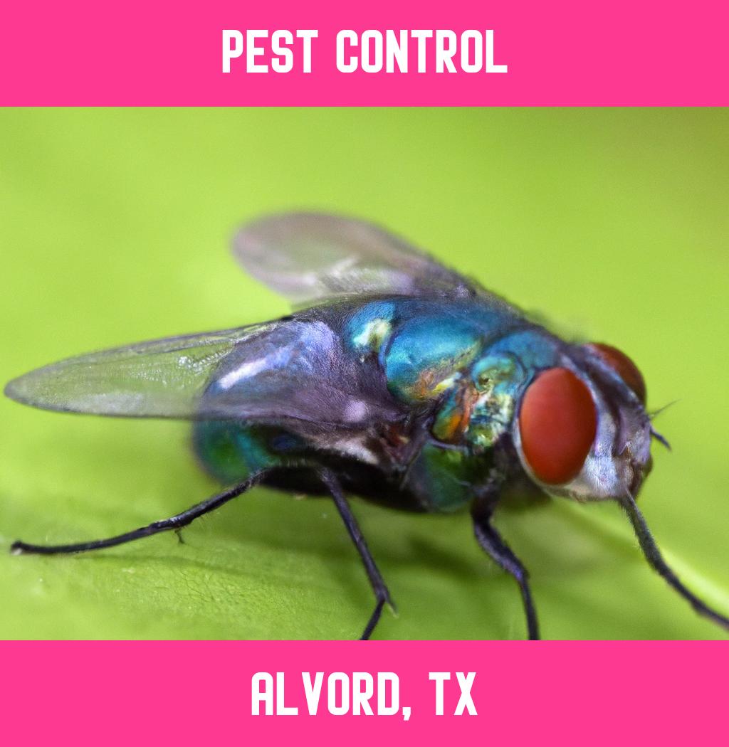 pest control in Alvord Texas