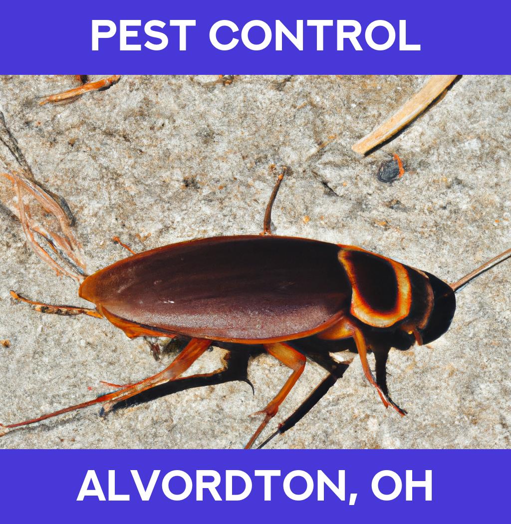 pest control in Alvordton Ohio
