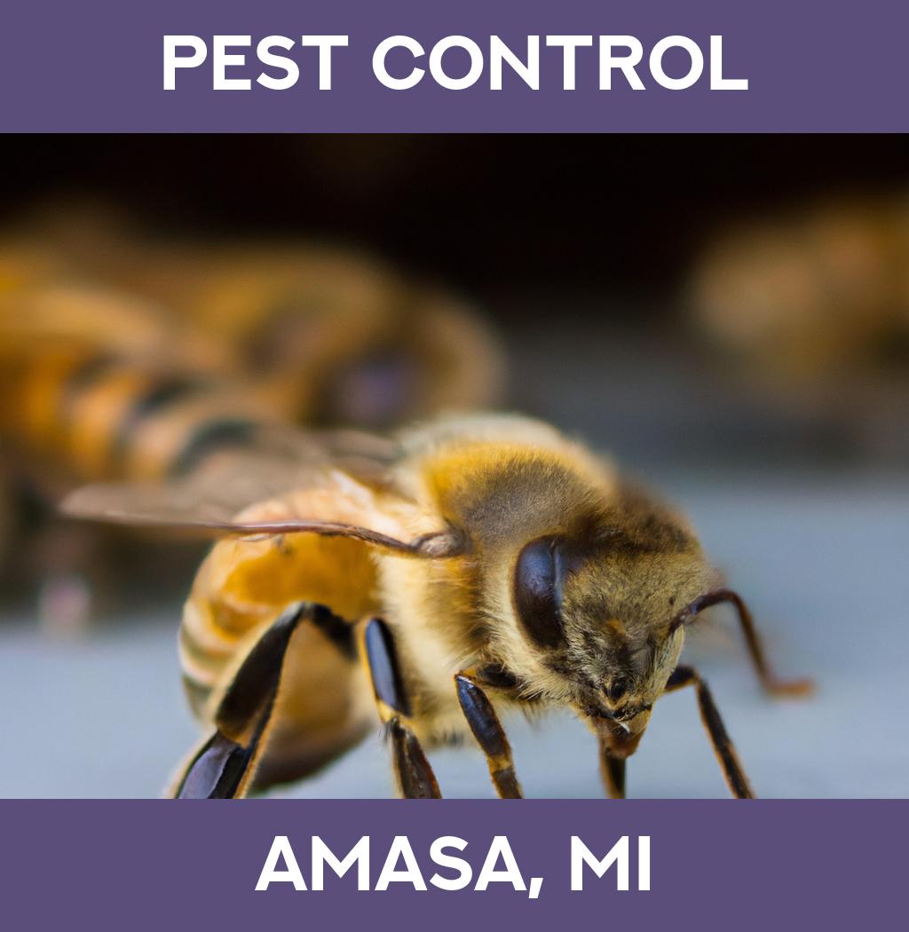 pest control in Amasa Michigan