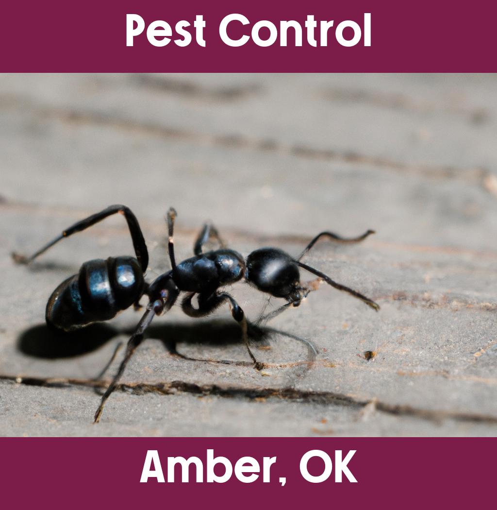 pest control in Amber Oklahoma