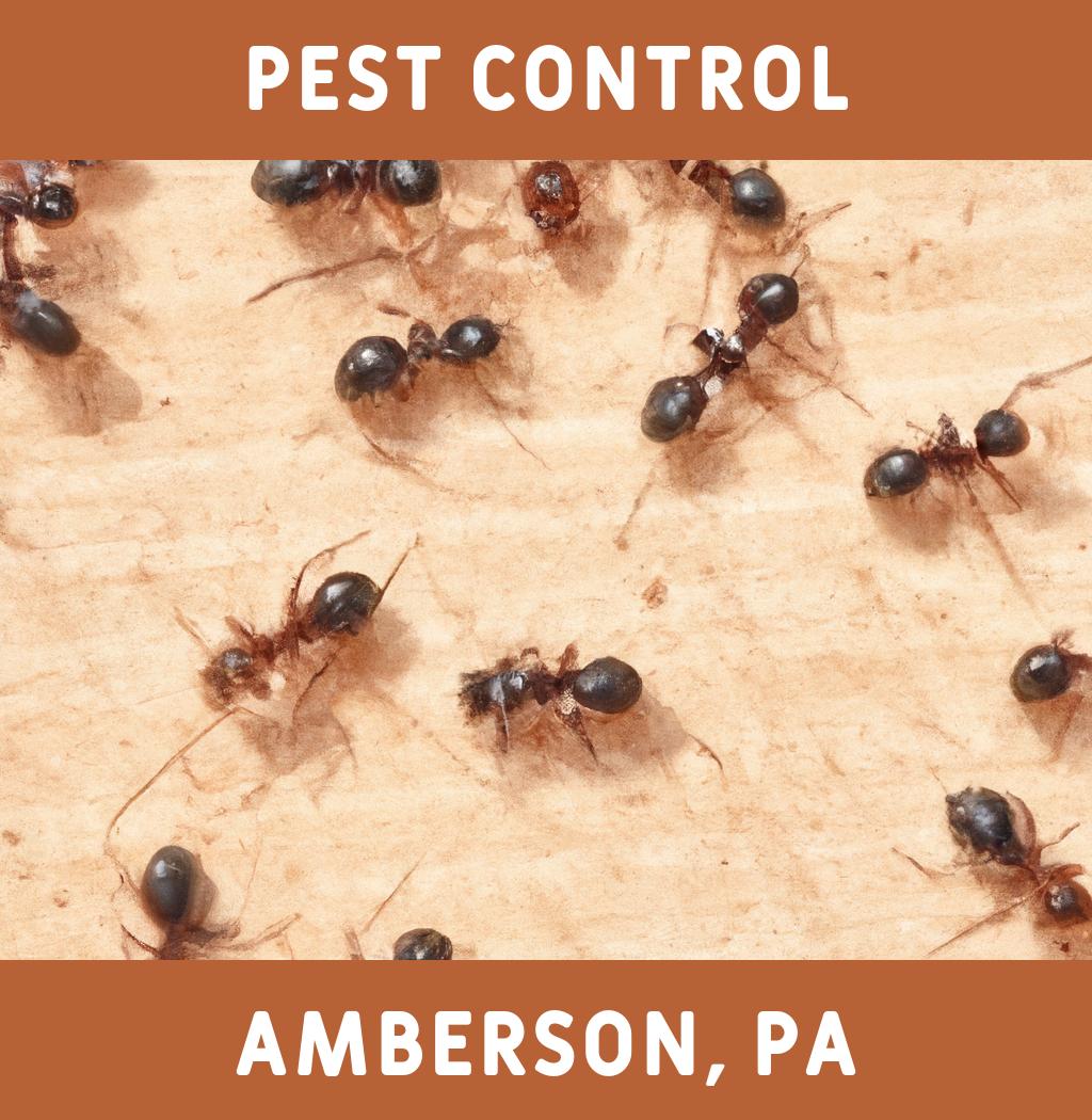 pest control in Amberson Pennsylvania