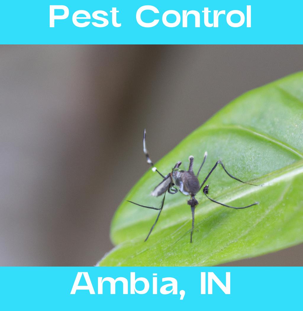 pest control in Ambia Indiana