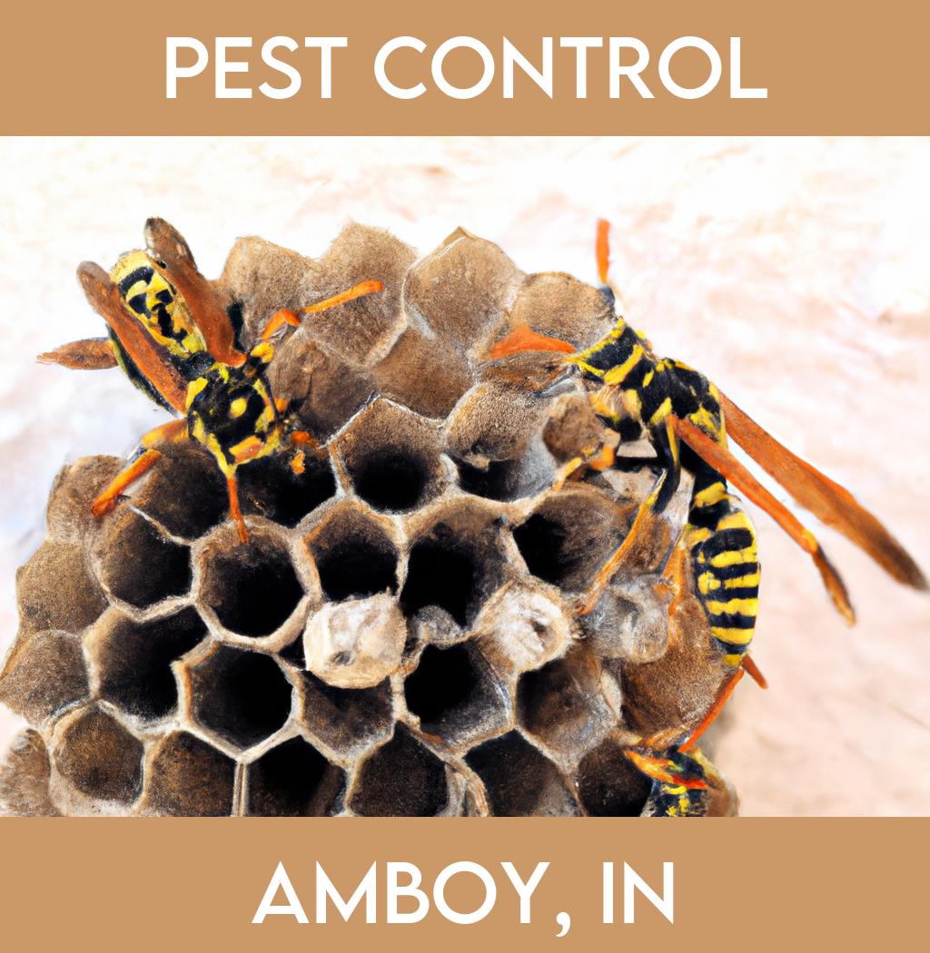 pest control in Amboy Indiana
