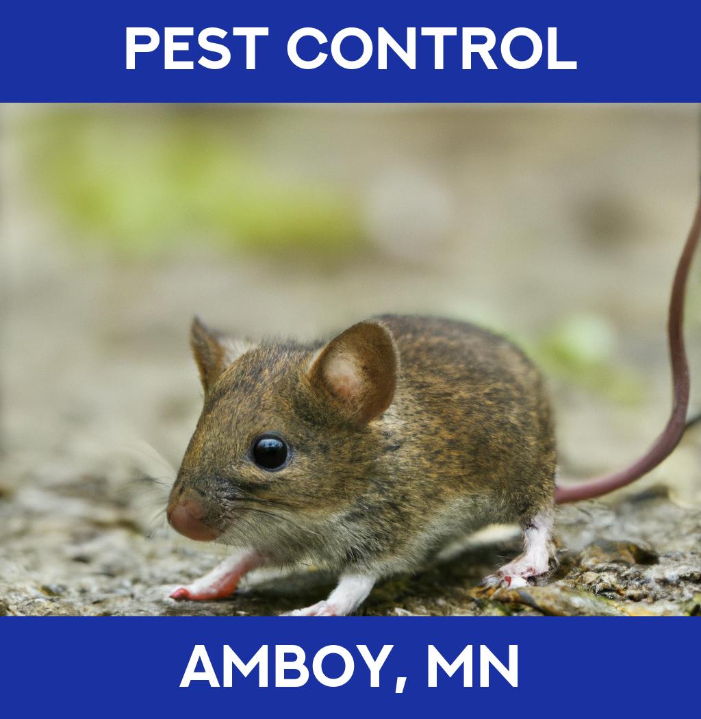 pest control in Amboy Minnesota